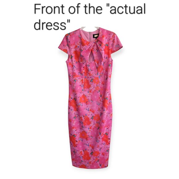 Alexia Admor Pink and Red Sheath Midi Dress - Picture 4 of 16